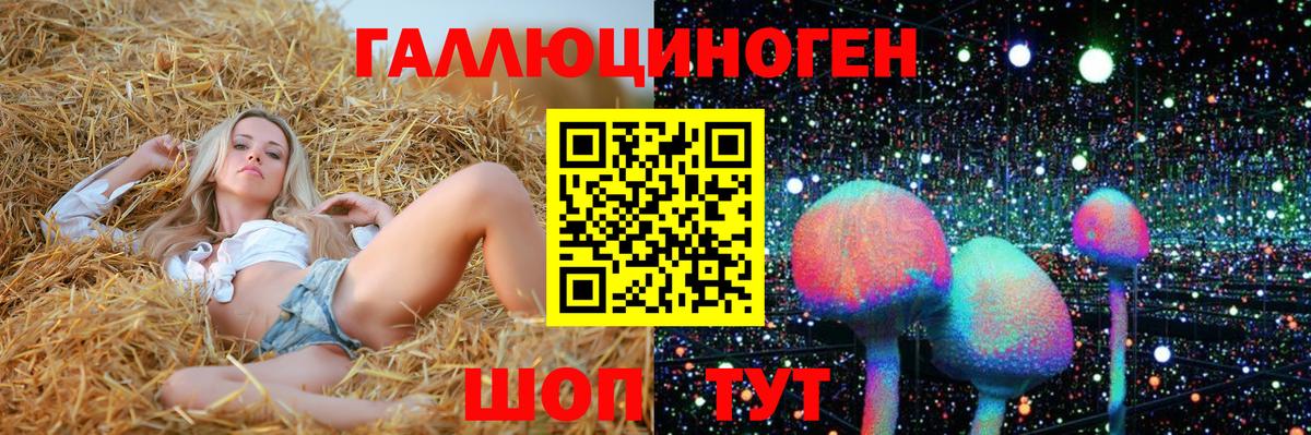 Ставрополь  Псилоцибиновые грибы Cubensis  Вход с VPN 