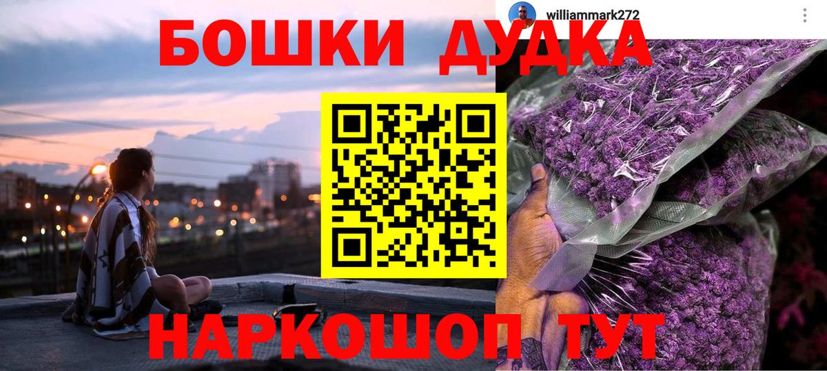 МАРИХУАНА сатива Ставрополь
